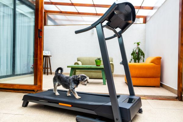 Treadmill Installation in North Richland Hills