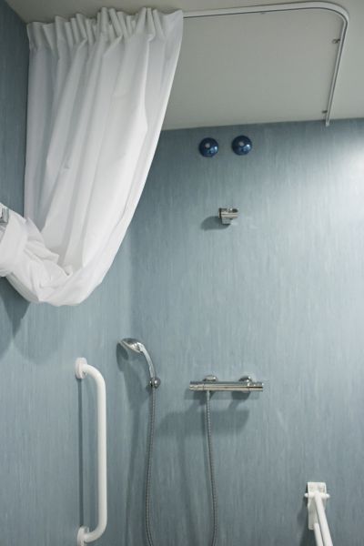 Shower Rail Installation in North Richland Hills
