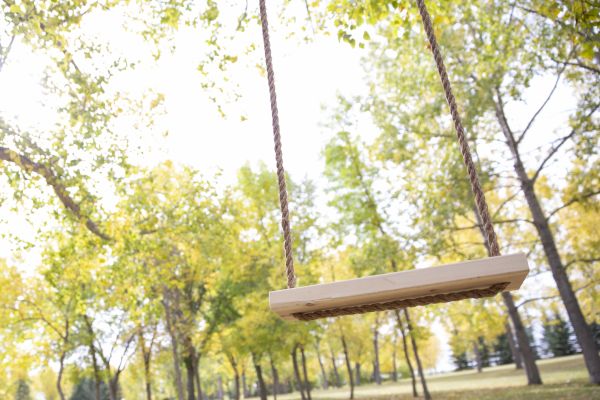 Tree Swing Installation in North Richland Hills