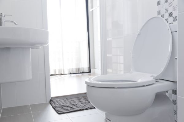 Toilet Seat Installation in North Richland Hills