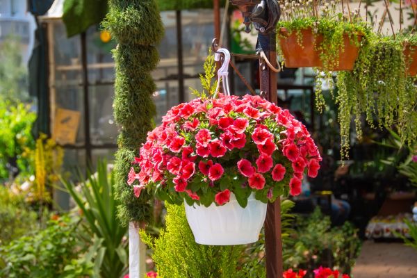 Hanging Planter Installation in North Richland Hills