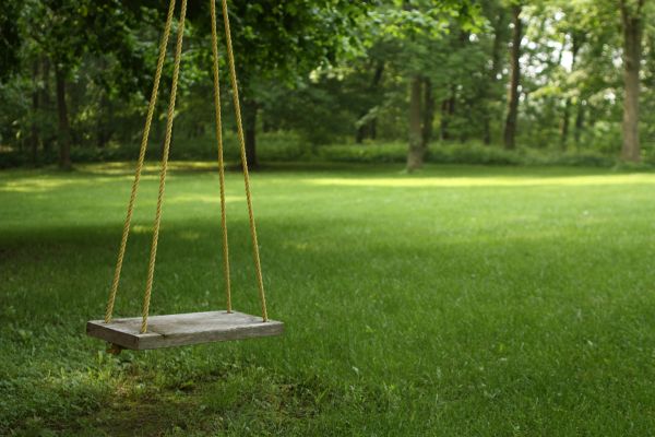 Rope Swing Installation in North Richland Hills