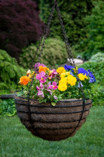 Hanging Basket Installation in North Richland Hills