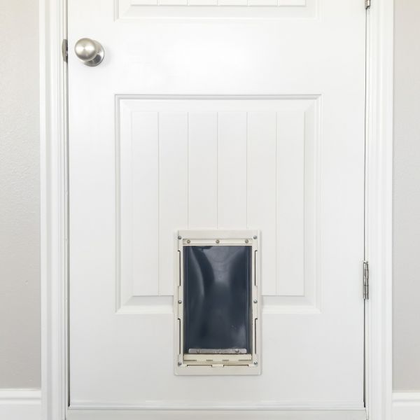Pet Door Repair in North Richland Hills