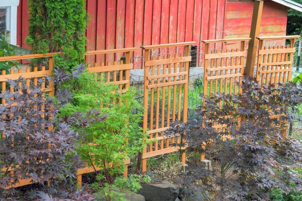 Wood Trellis Mounting in North Richland Hills