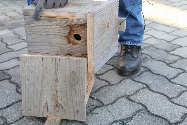 Birdhouse Mounting in North Richland Hills