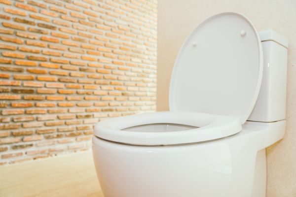 Toilet Seat Repair in North Richland Hills